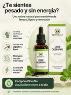 Clorofila líquida Benevolent · 60 ml